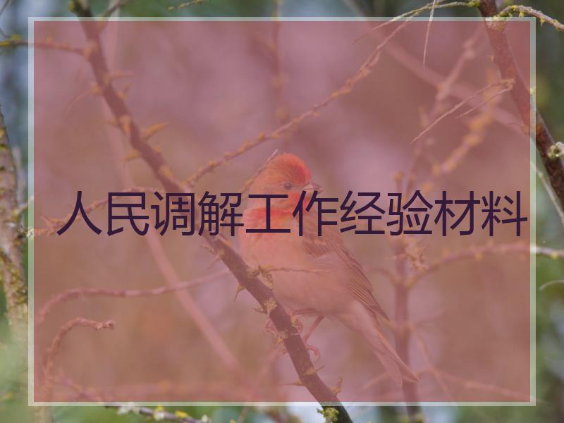 人民调解工作经验材料