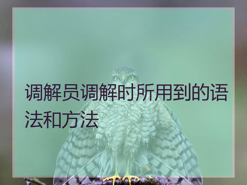 调解员调解时所用到的语法和方法