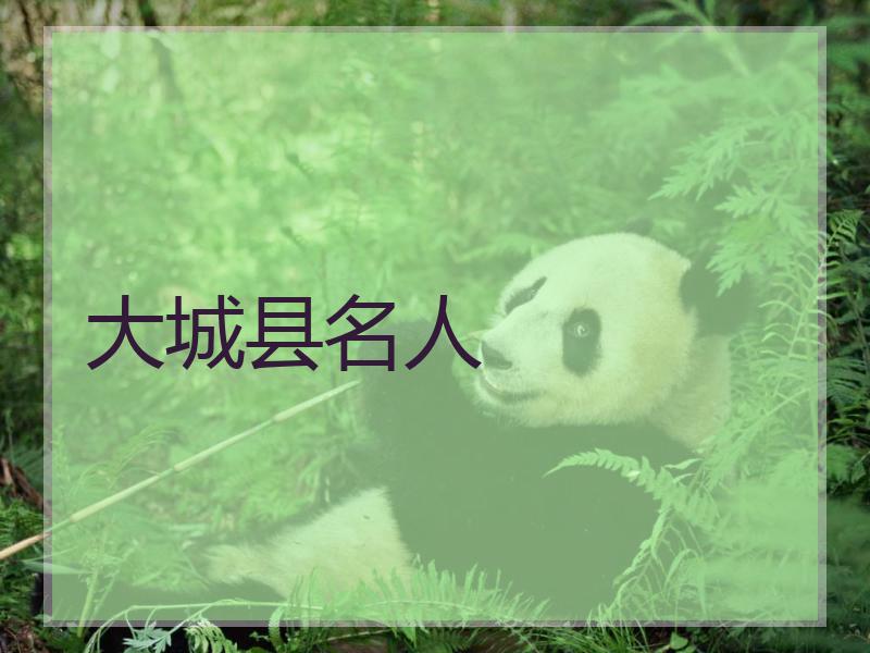 大城县名人