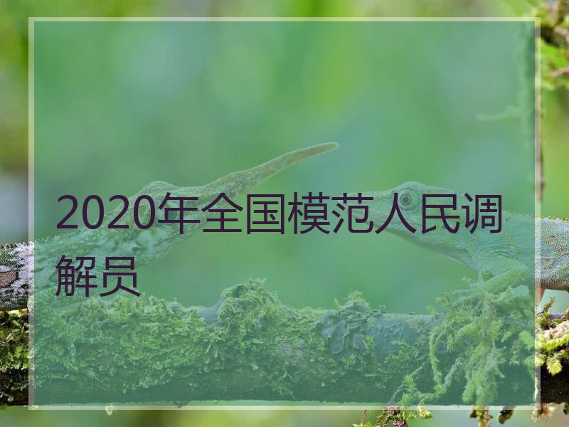2020年全国模范人民调解员