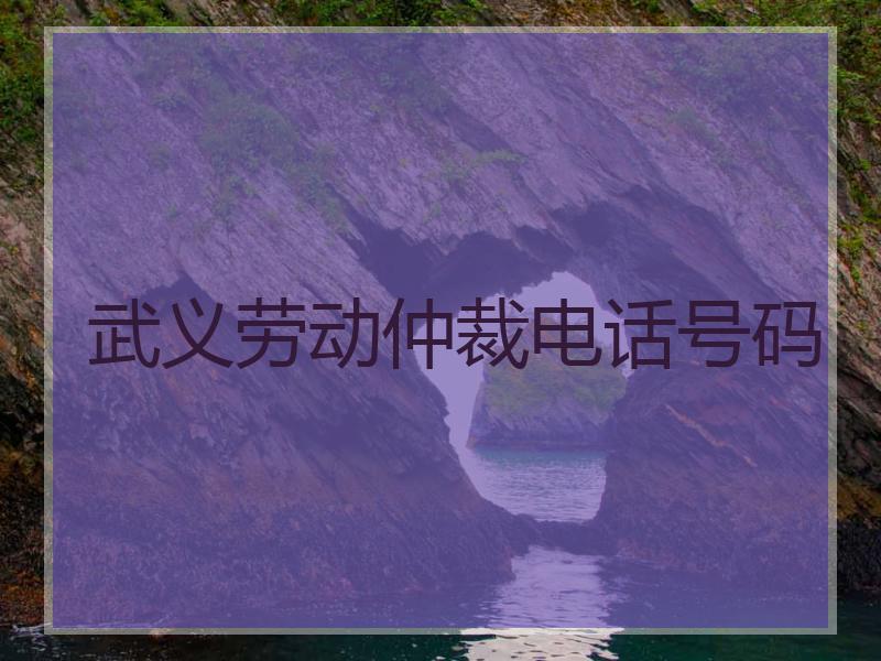 武义劳动仲裁电话号码