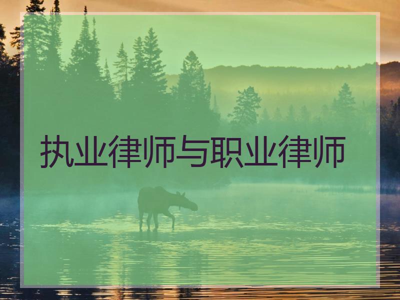 执业律师与职业律师