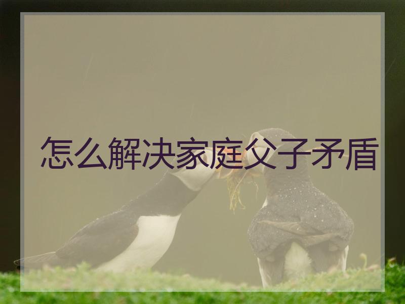 怎么解决家庭父子矛盾