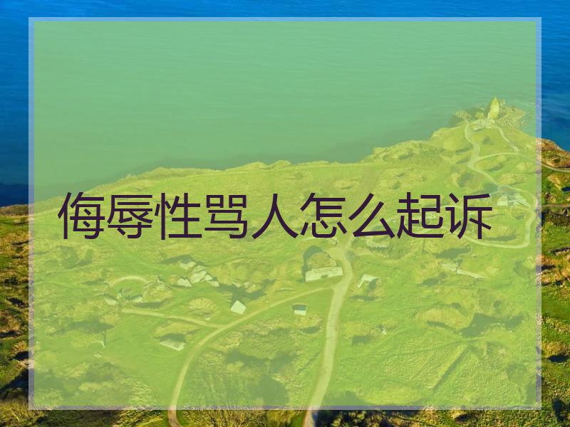 侮辱性骂人怎么起诉