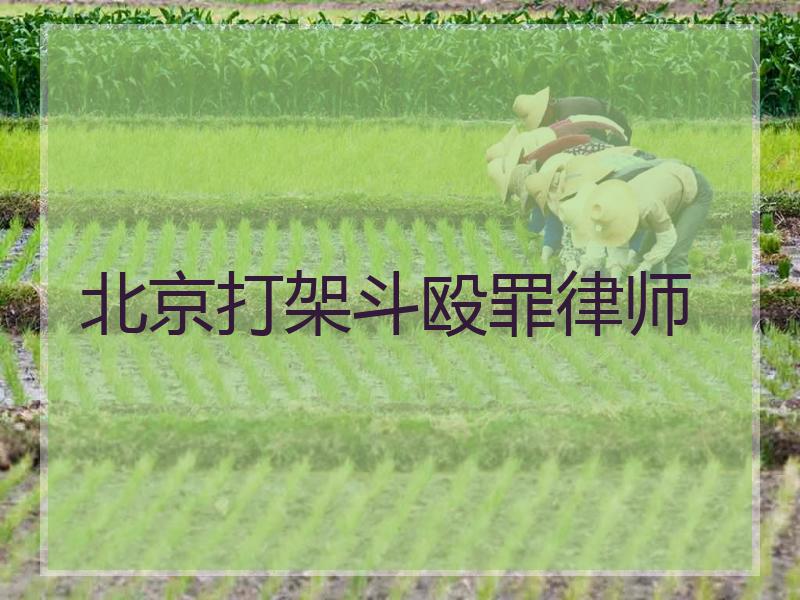 北京打架斗殴罪律师