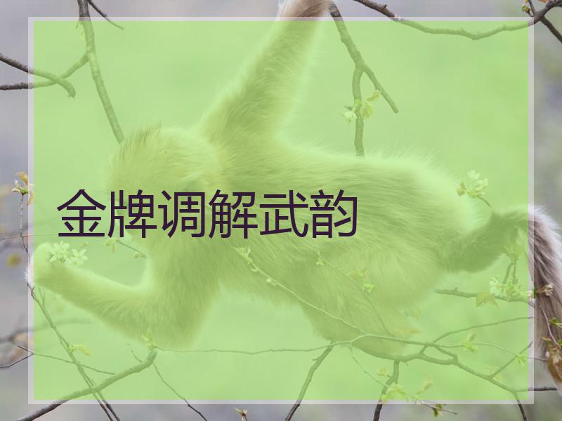 金牌调解武韵