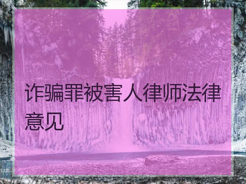 诈骗罪被害人律师法律意见