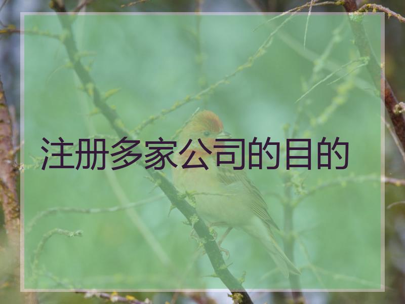 注册多家公司的目的
