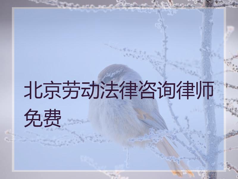 北京劳动法律咨询律师免费