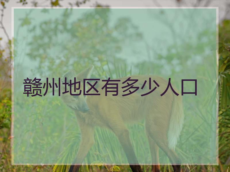 赣州地区有多少人口