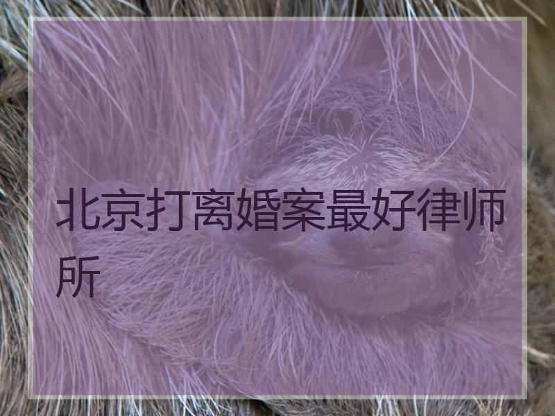 北京打离婚案最好律师所