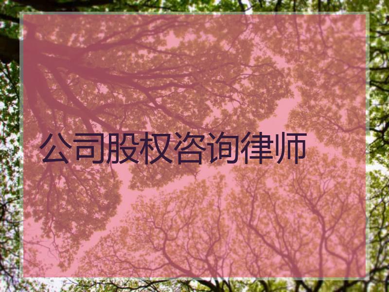 公司股权咨询律师