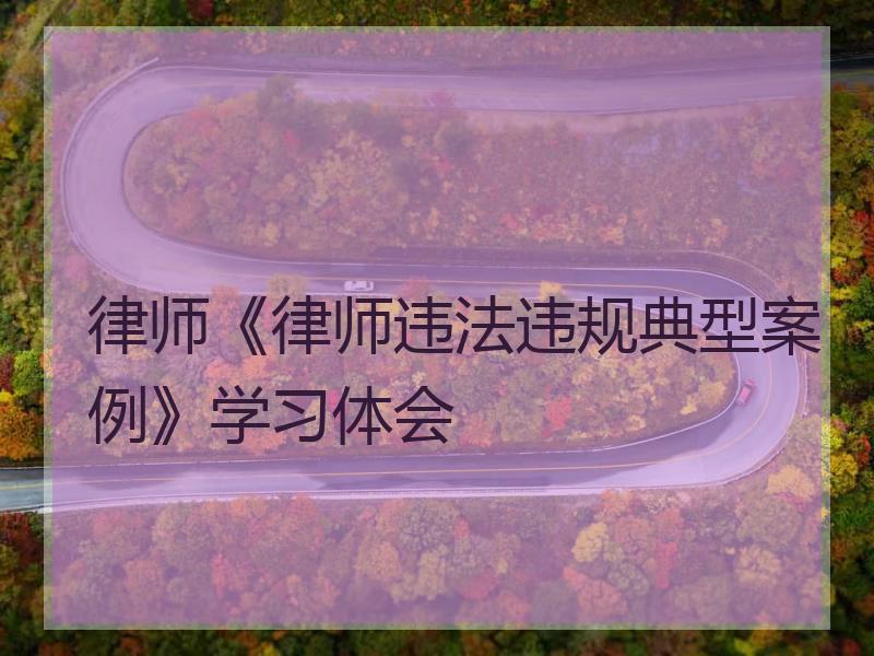 律师《律师违法违规典型案例》学习体会