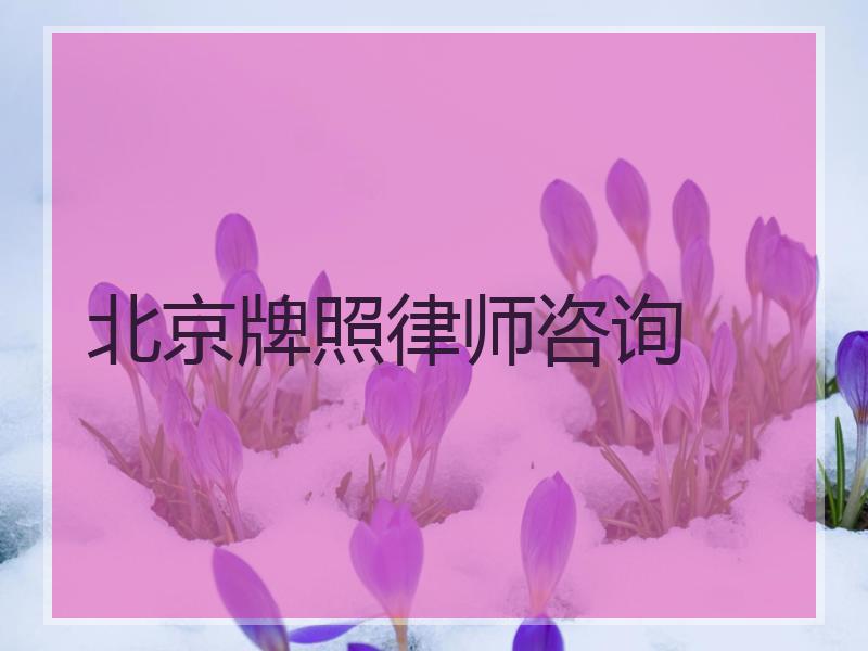 北京牌照律师咨询