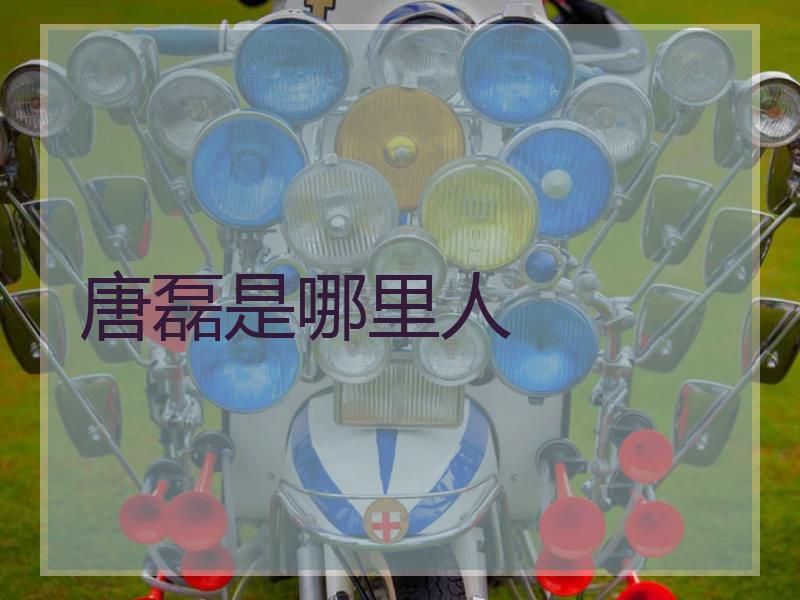 唐磊是哪里人