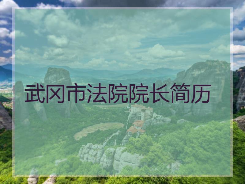 武冈市法院院长简历