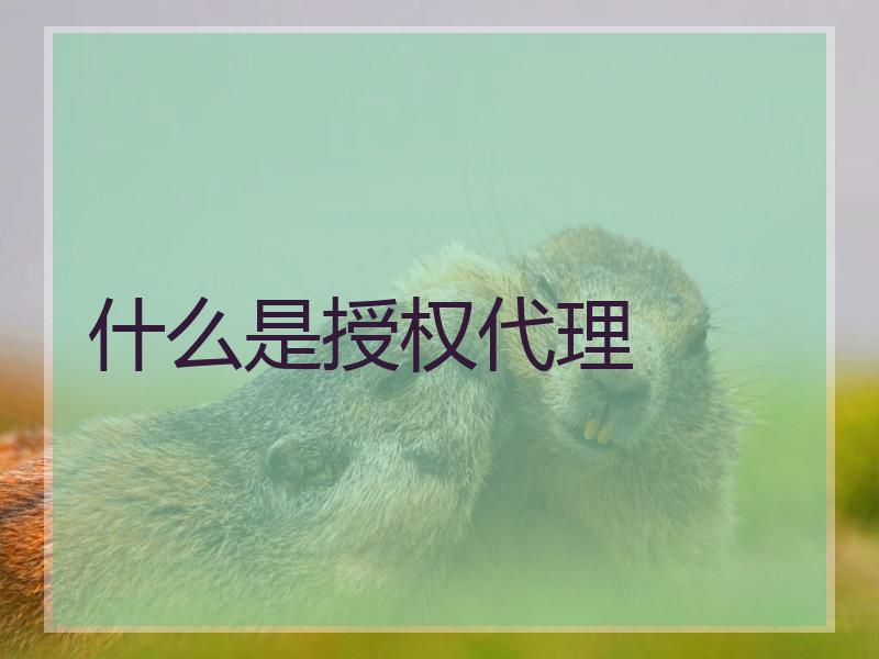 什么是授权代理