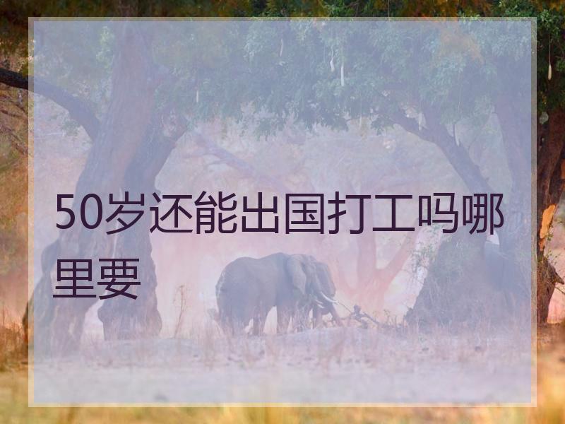 50岁还能出国打工吗哪里要