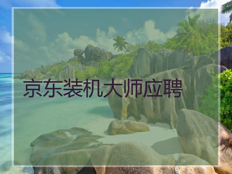 京东装机大师应聘