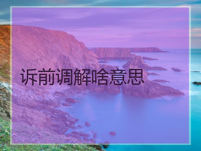 诉前调解啥意思