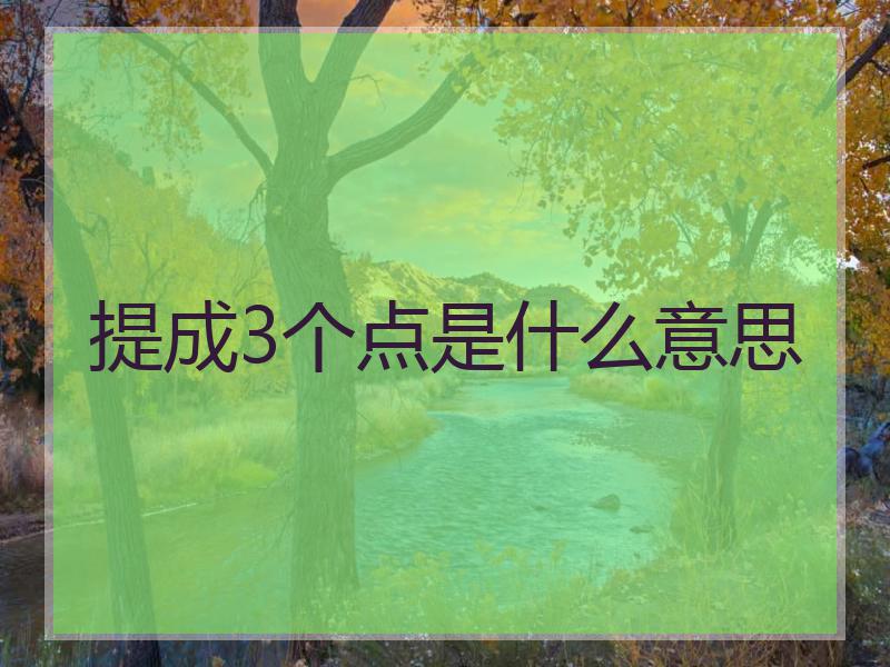 提成3个点是什么意思