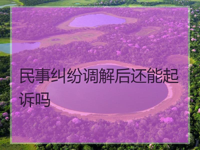 民事纠纷调解后还能起诉吗