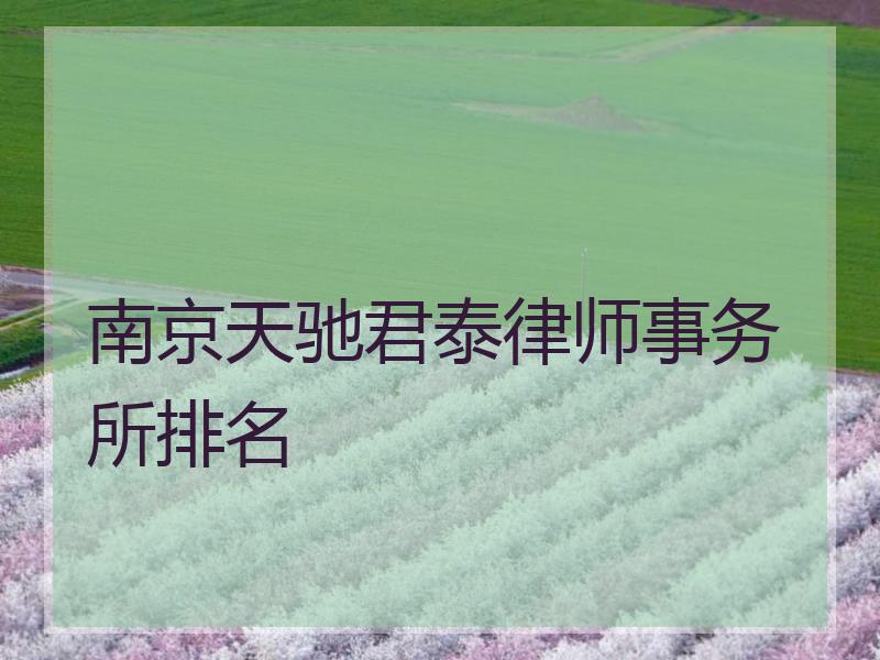 南京天驰君泰律师事务所排名