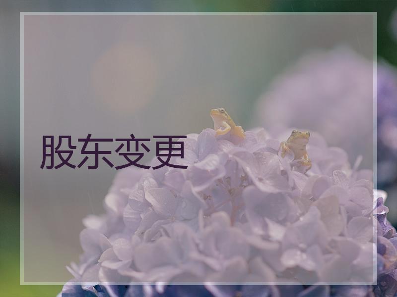 股东变更