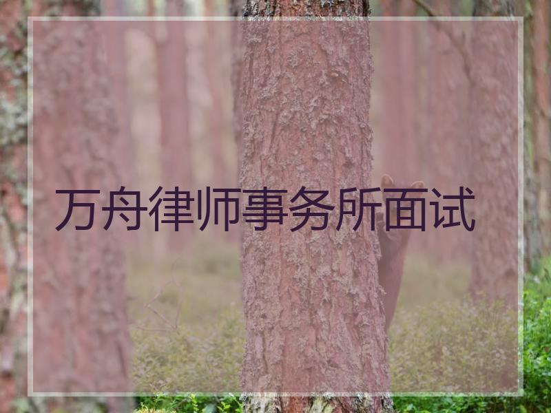 万舟律师事务所面试