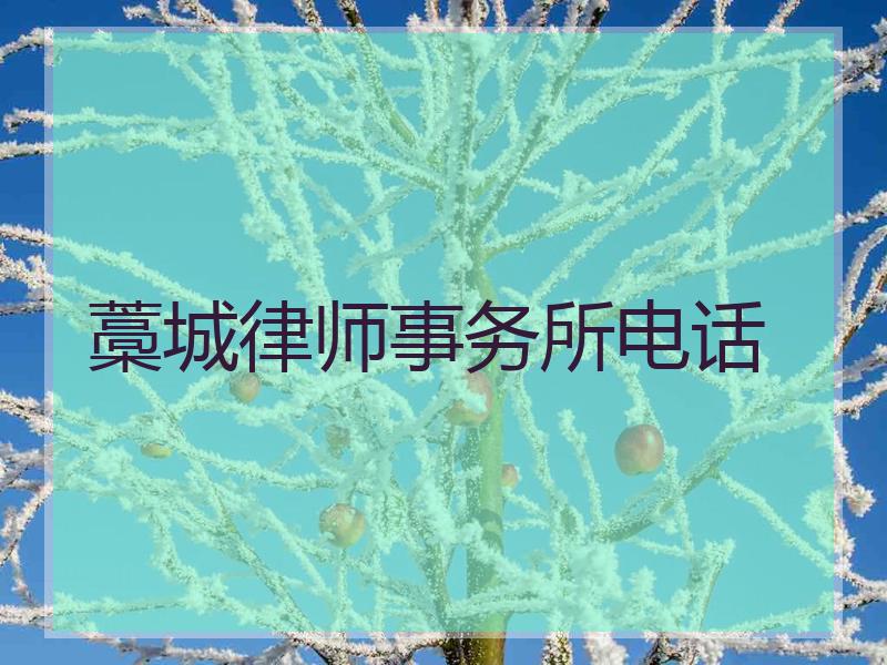 藁城律师事务所电话