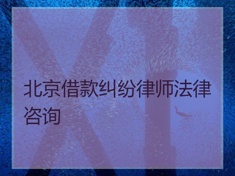 北京借款纠纷律师法律咨询