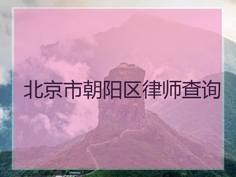 北京市朝阳区律师查询