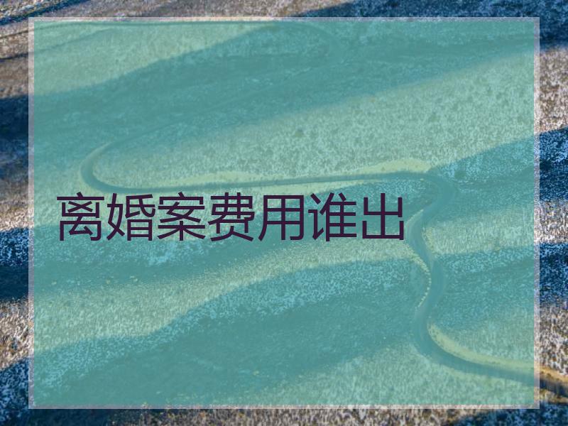 离婚案费用谁出