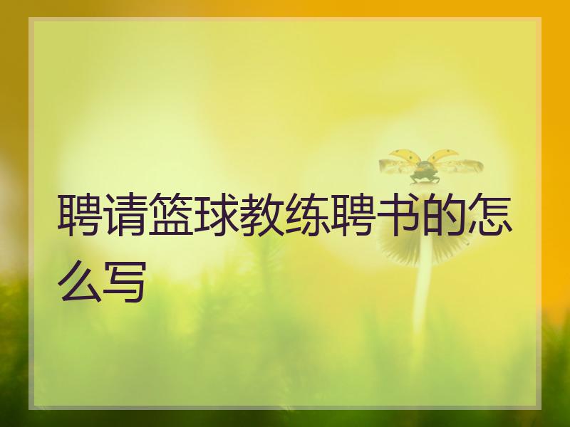 聘请篮球教练聘书的怎么写