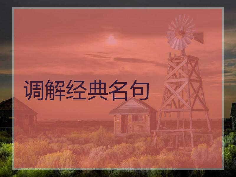 调解经典名句