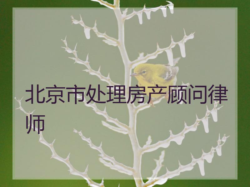 北京市处理房产顾问律师