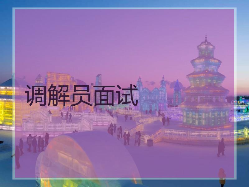 调解员面试