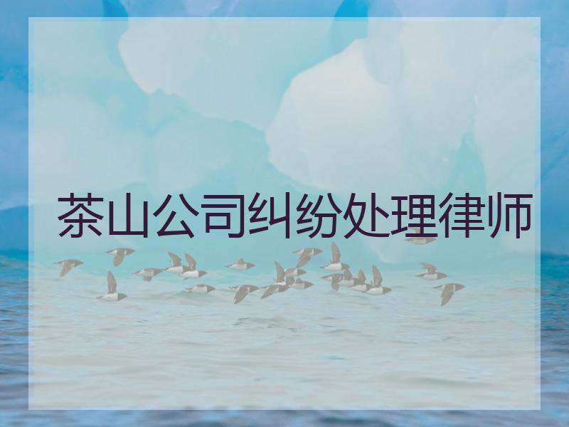 茶山公司纠纷处理律师