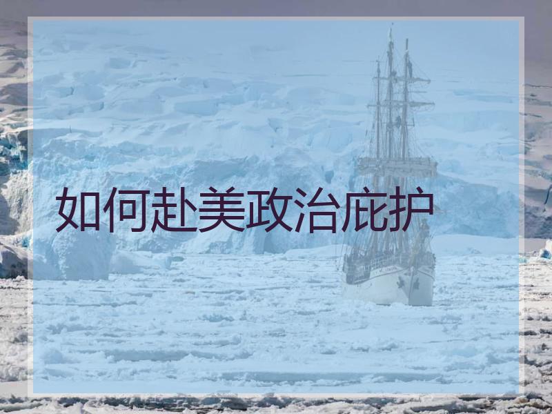 如何赴美政治庇护