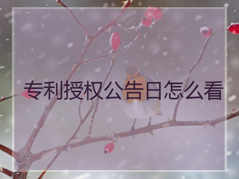 专利授权公告日怎么看