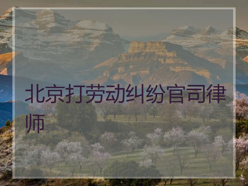 北京打劳动纠纷官司律师