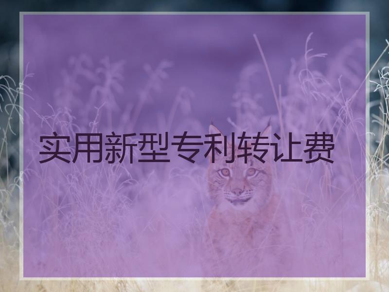 实用新型专利转让费