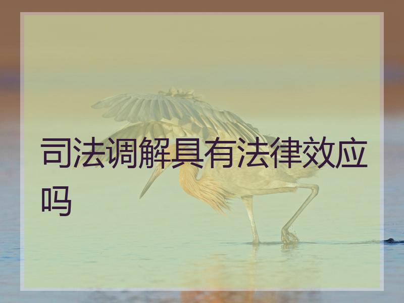 调解具有法律效应吗