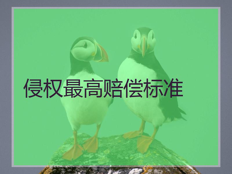 侵权最高赔偿标准