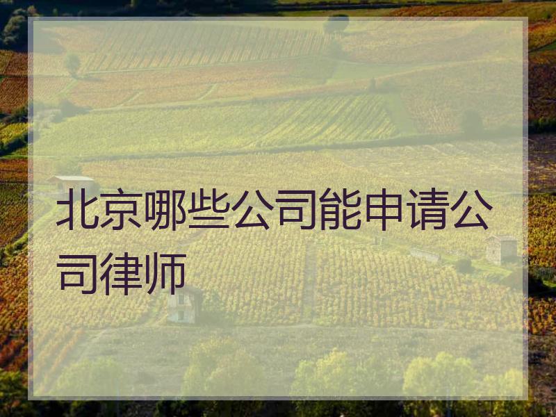 北京哪些公司能申请公司律师