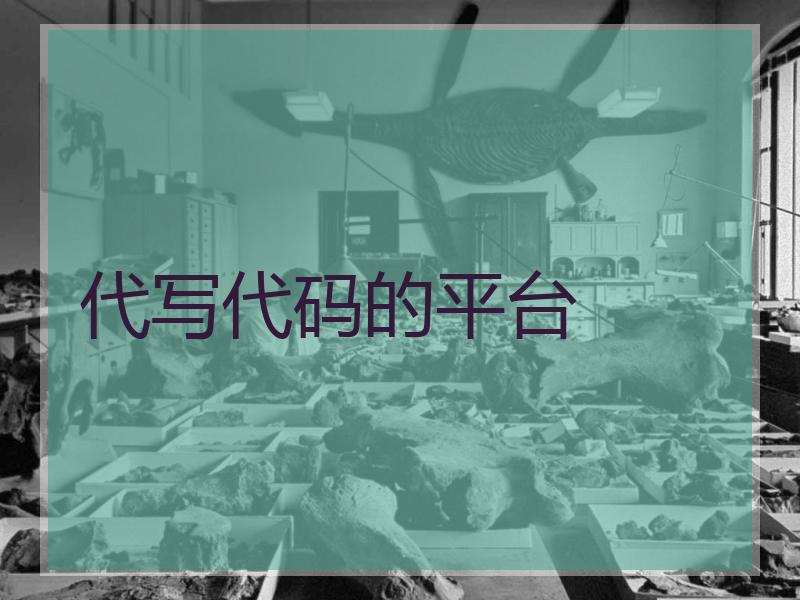 代写代码的平台