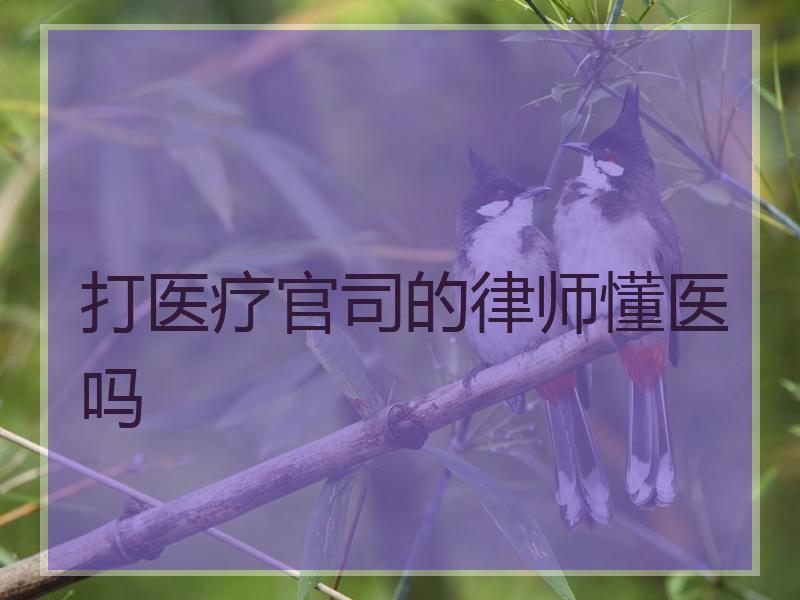 打医疗官司的律师懂医吗