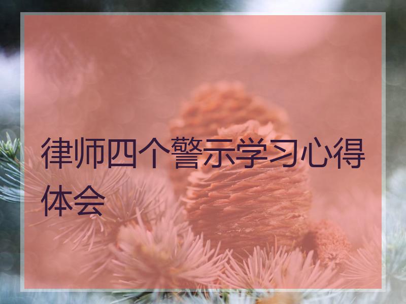 律师四个警示学习心得体会