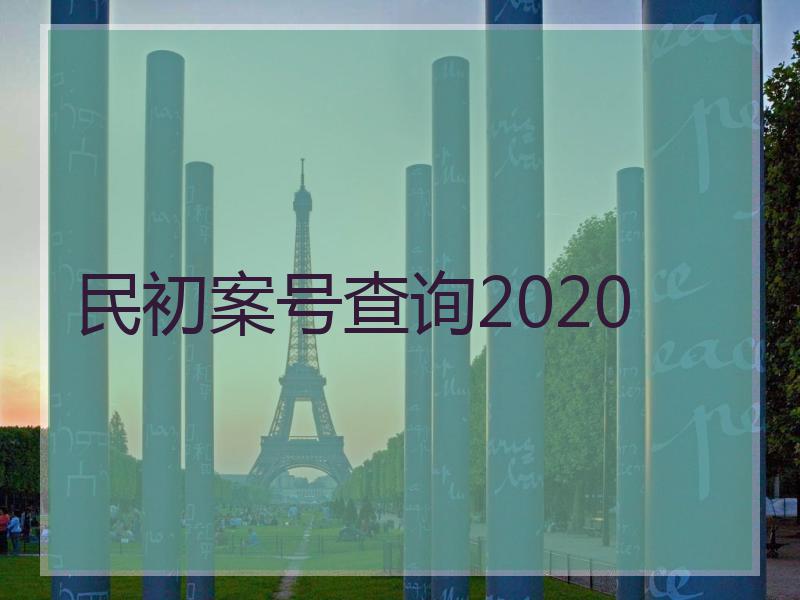 民初案号查询2020