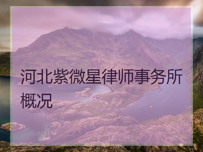 河北紫微星律师事务所概况